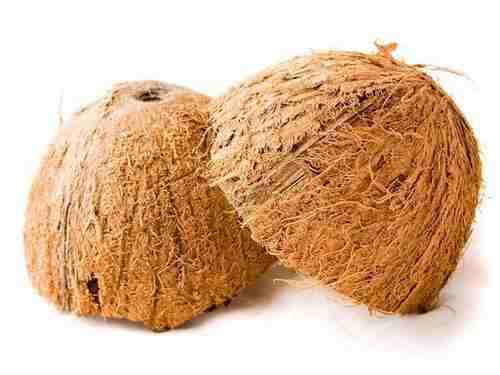  coconut shell products  